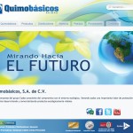 quimobasicos_website